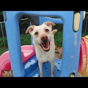 Meet your Posher, Angel